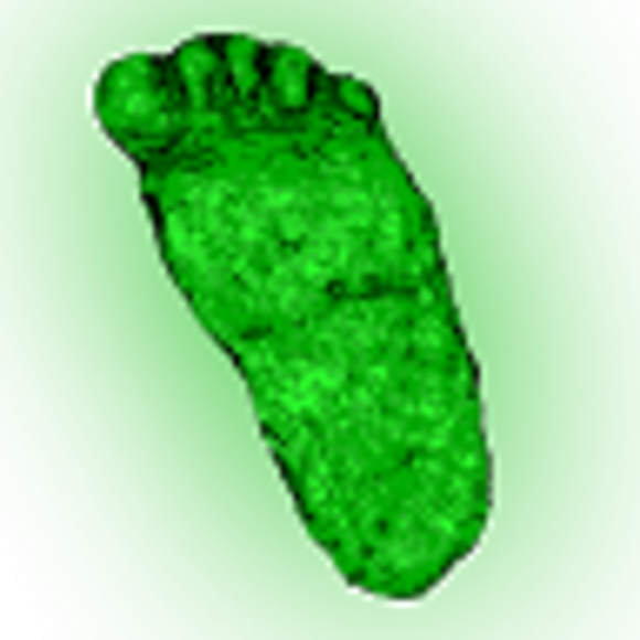 squatchfootusa